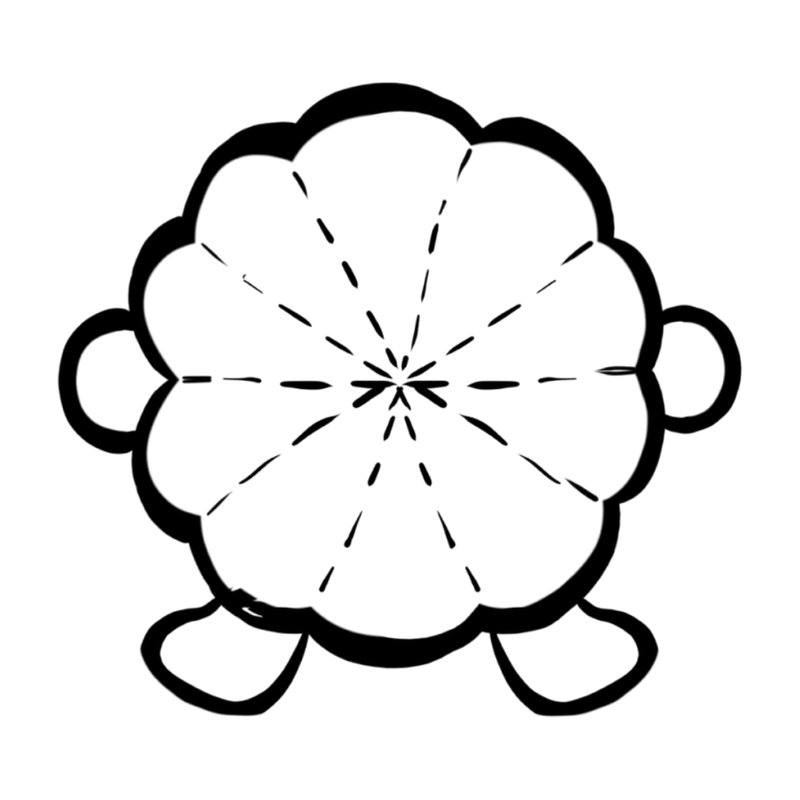 Bottom view showing seam layout